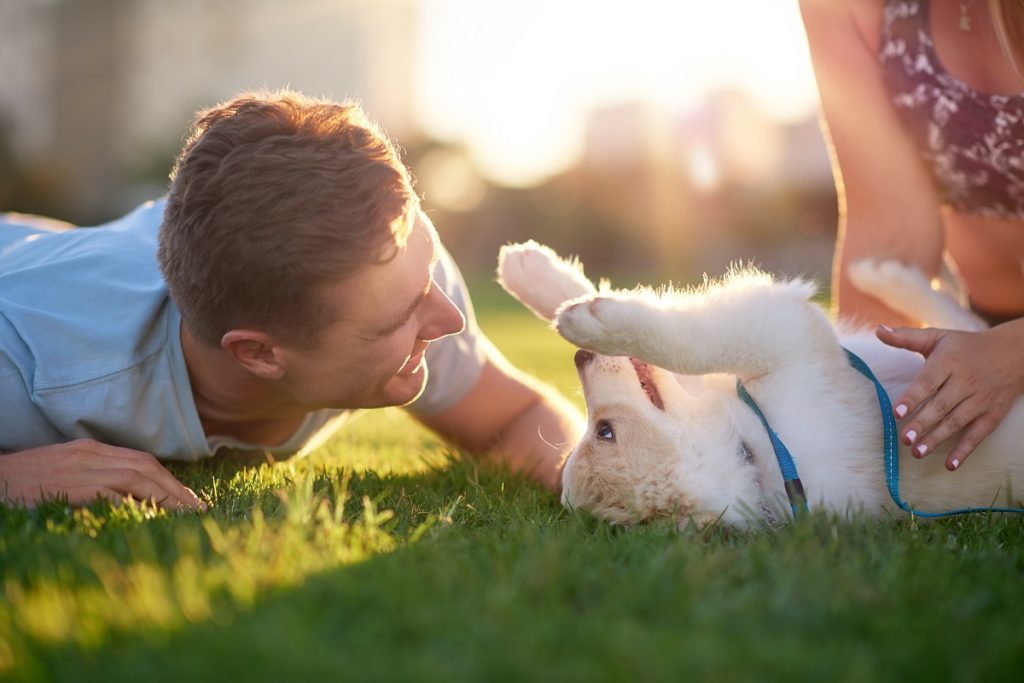 Couple playing with their puppy dog at sunset